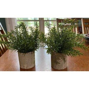 New2 Pack Small Fake Plants Rosemary Potted Artificial Plants for Shelf Desk Hom
